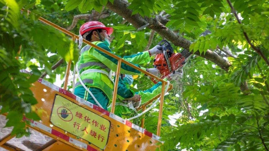 定西湿地公园绿化工程项目